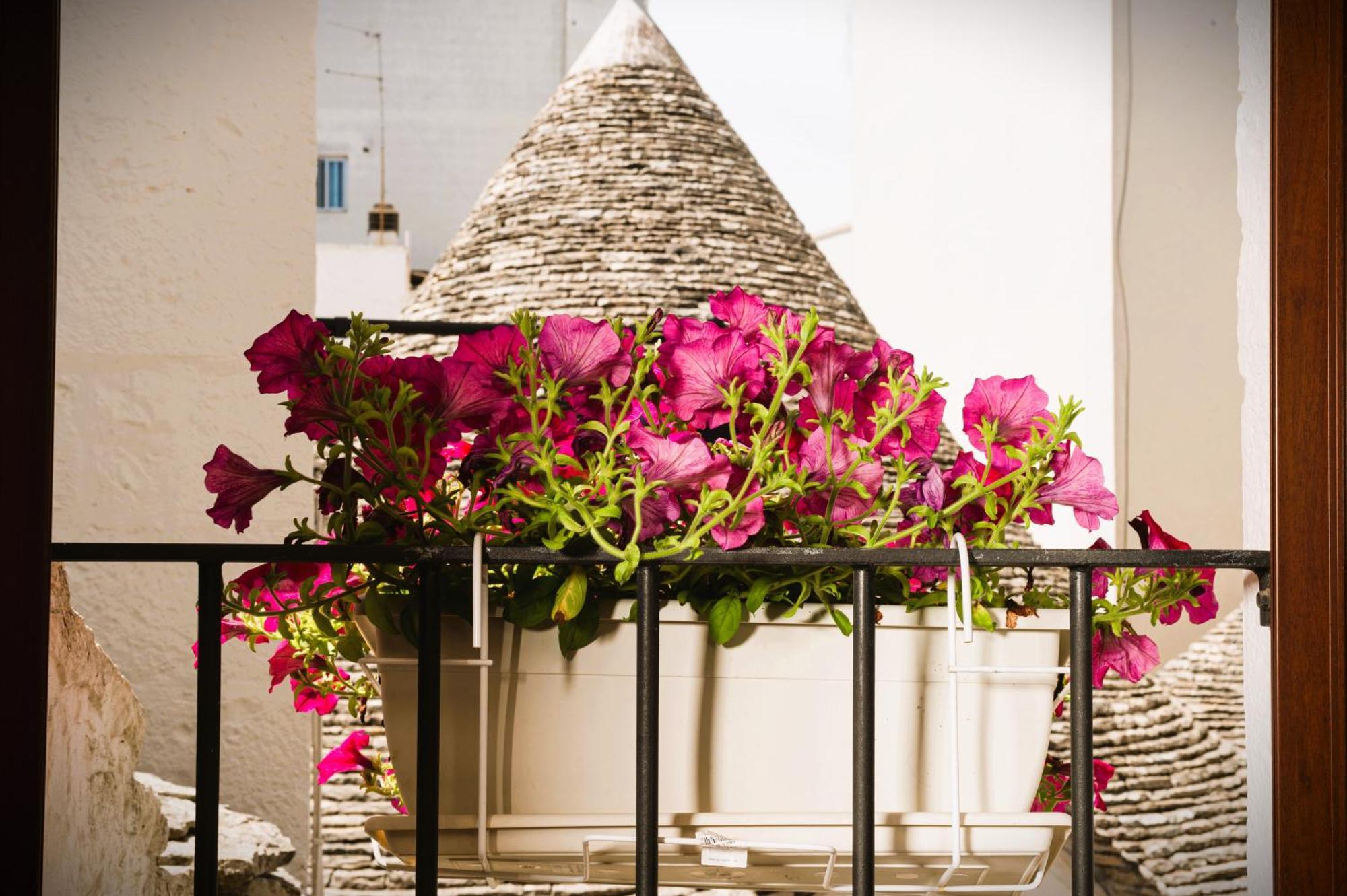 Il Trullo Moore